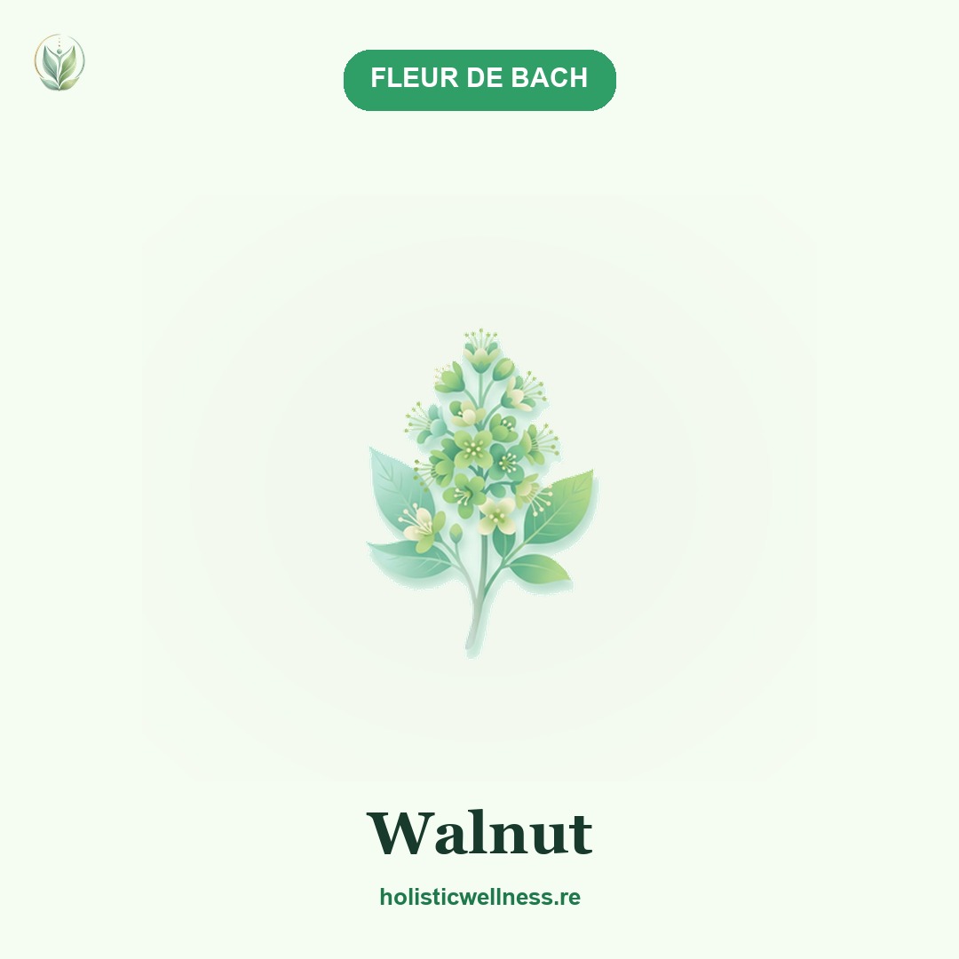 Walnut