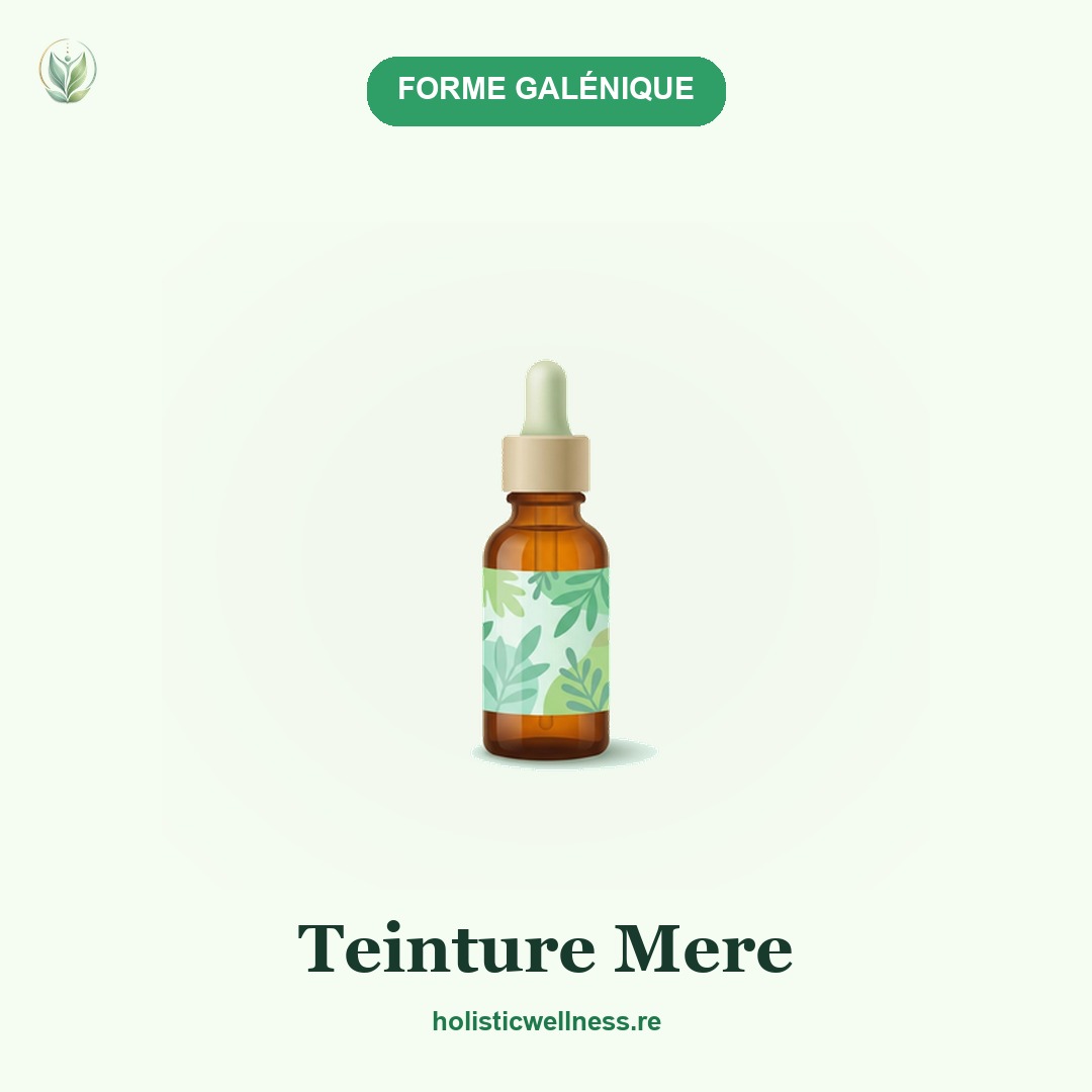 Teinture Mere